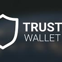 Binance Smart Chain on Trust Wallet